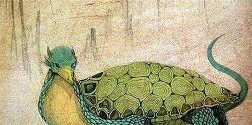 身体比你先动心！心动的20个生理反应，中5条说明你已病入膏肓