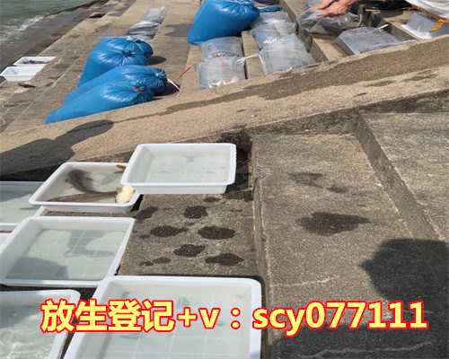 孟夏己土，火土成势，从强成格，80载运势变换有情，富贵一生