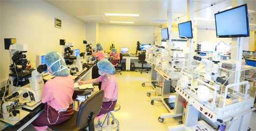 Deepseek 分析:2025属鸡的人太旺了,当之无愧的 Deepseek 分析:2025属鸡的人太旺了,当之无愧的