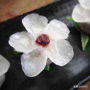 五月运势:PIS.双鱼座♓️【内容原创，翻版必究。】