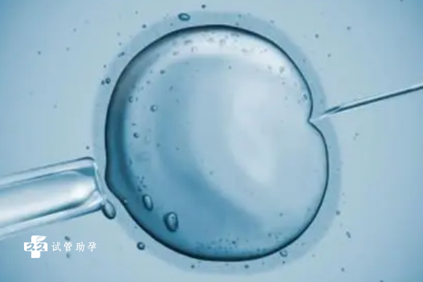 文化讲堂｜《周易》第四讲——“二五合一⊙”返先天