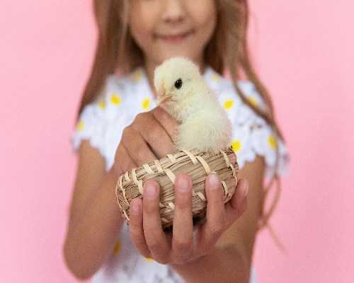 农民捡了一块石头,上面长满了“白发”,专家看后:赶紧报警 农民捡了一块石头,上面长满了“白发”,专家看后:赶紧报警