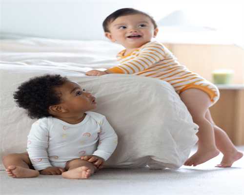 室内乱养花，日子不顺难富贵！养花注意4点，以免“影响家人”