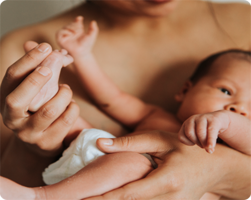 心理测试:选择你最喜欢的燕窝，测你下个月的运势如何?