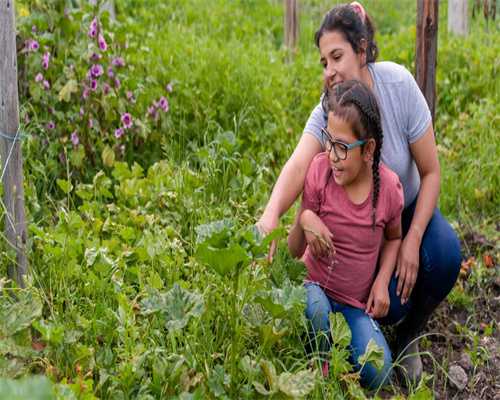 鼠年出生的你,4月6日运势竟藏着这些惊喜? 鼠年出生的你,4月6日运势竟藏着这些惊喜?