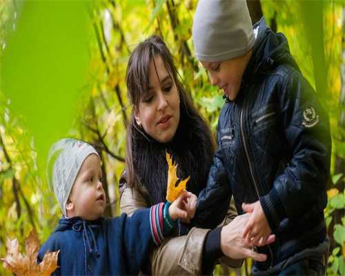 【2025属猪人运势开运指南】 【2025属猪人运势开运指南】